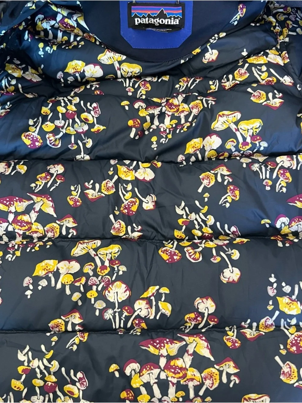 Patagonia Mushroom Print Bivy Jacket Down Coat XS